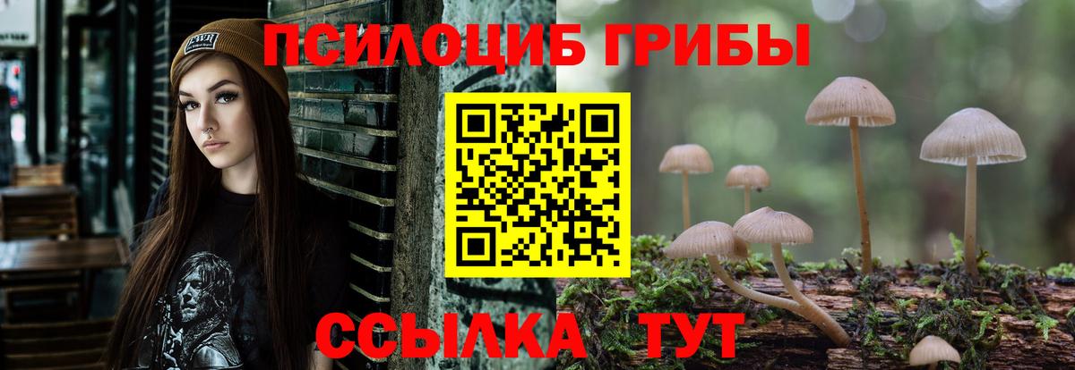 Клин  сколько стоит  Вход с VPN  Псилоцибиновые грибы мухоморы 