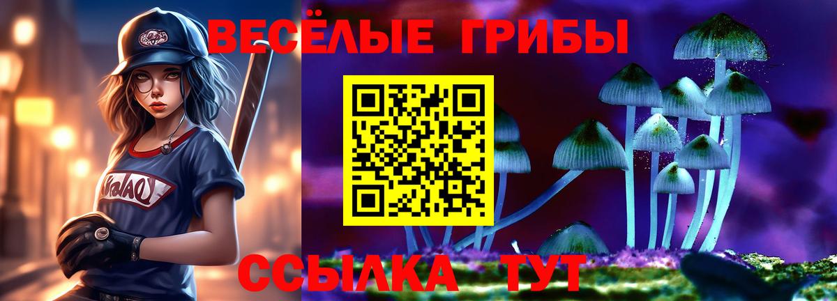 Псилоцибиновые грибы Magic Shrooms Клин