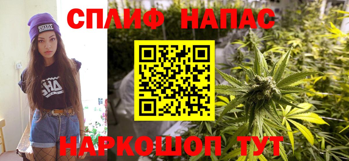 Марихуана семена  Шишки марихуана OG Kush  Клин  Шишки марихуана план  Вход с VPN  Бошки Шишки OG Kush 